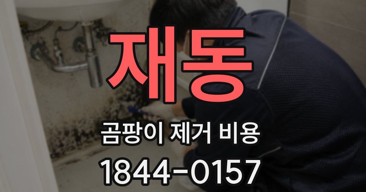 재동 곰팡이 제거 비용