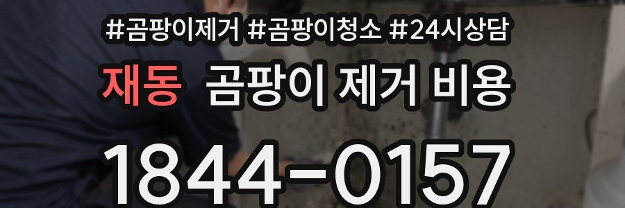 재동 곰팡이 제거 비용