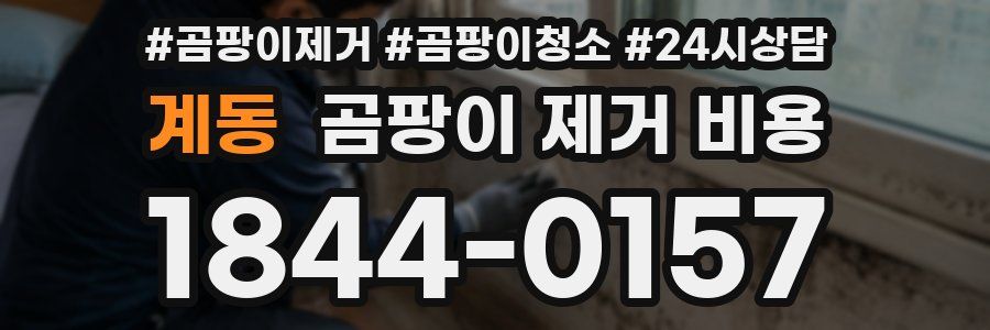 계동 곰팡이 제거 비용