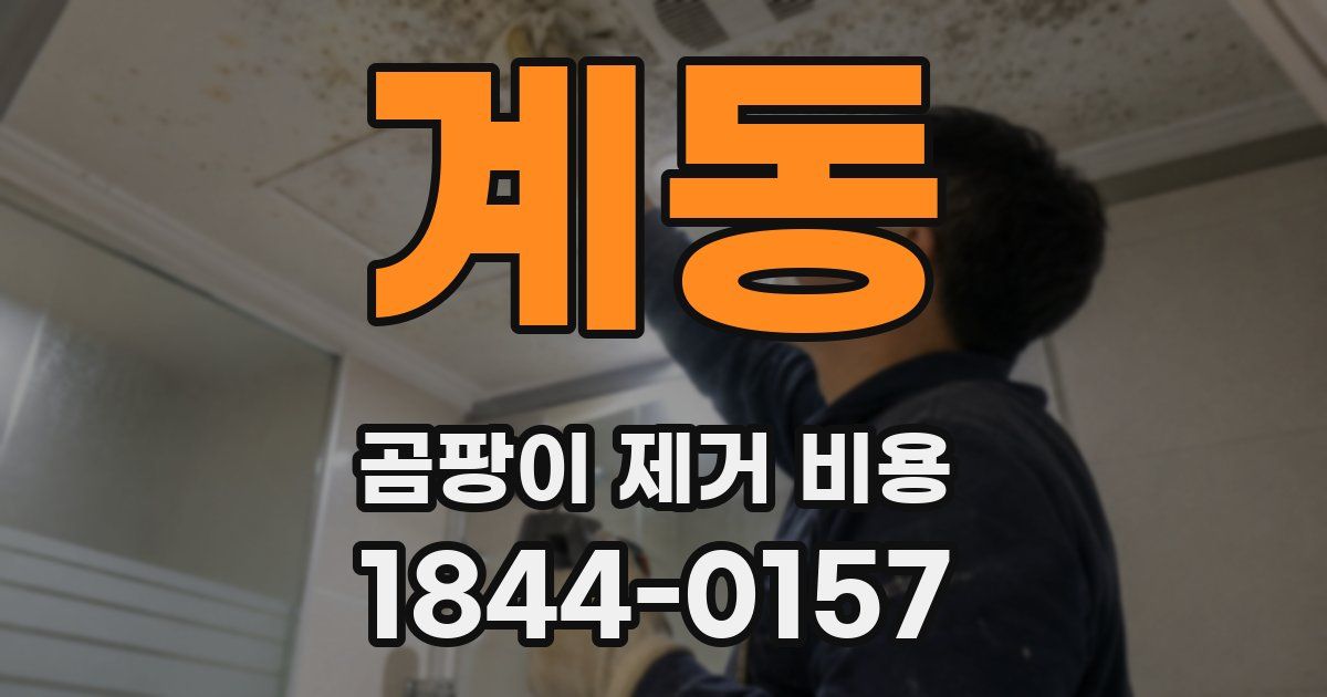 계동 곰팡이 제거 비용