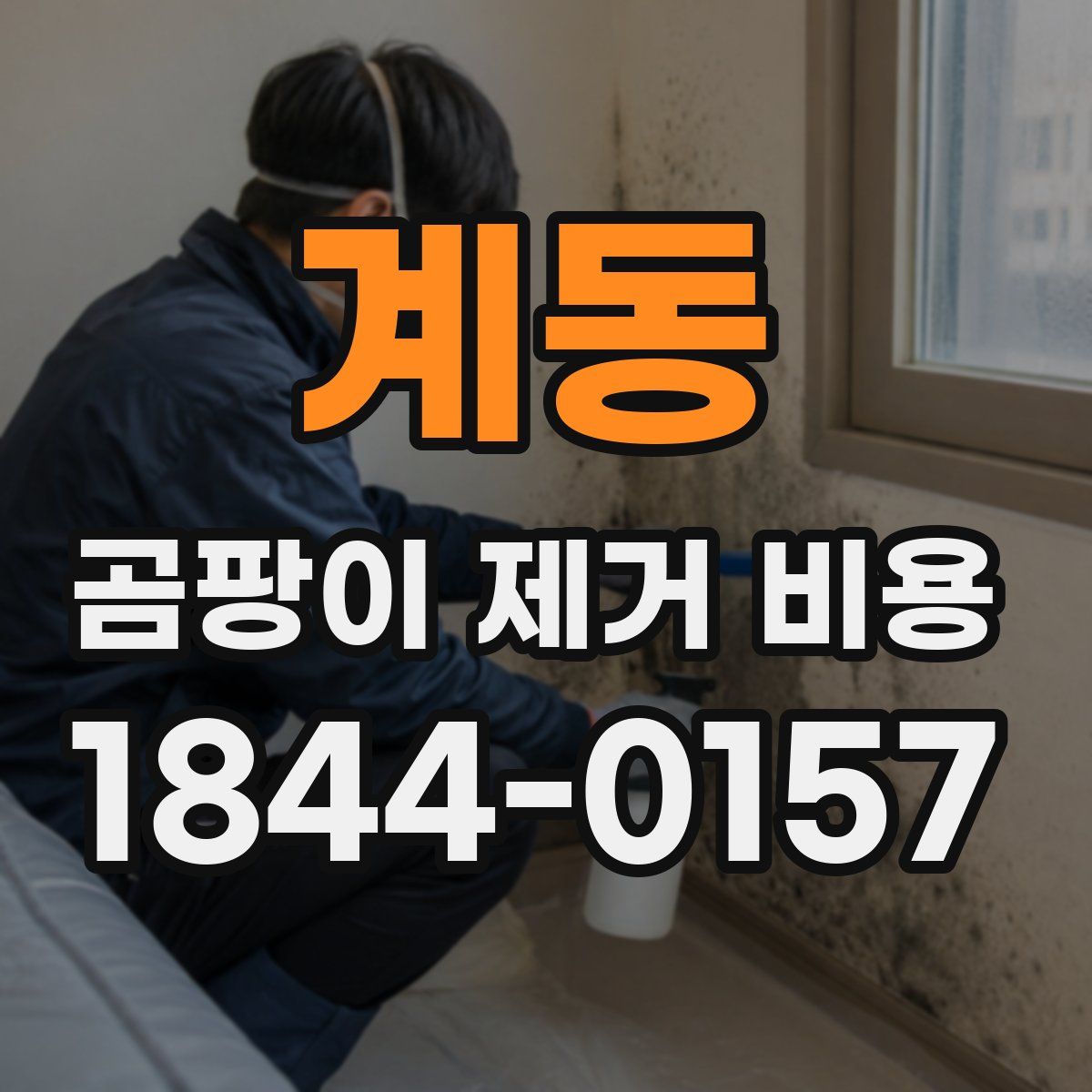 계동 곰팡이 제거 비용