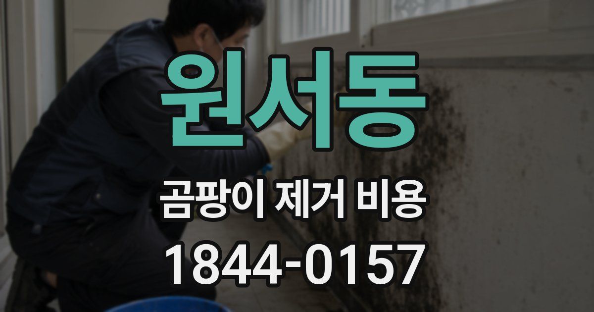 원서동 곰팡이 제거 비용
