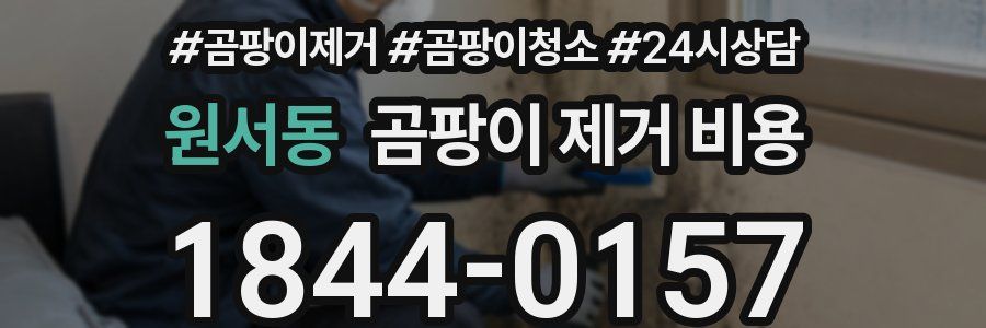 원서동 곰팡이 제거 비용