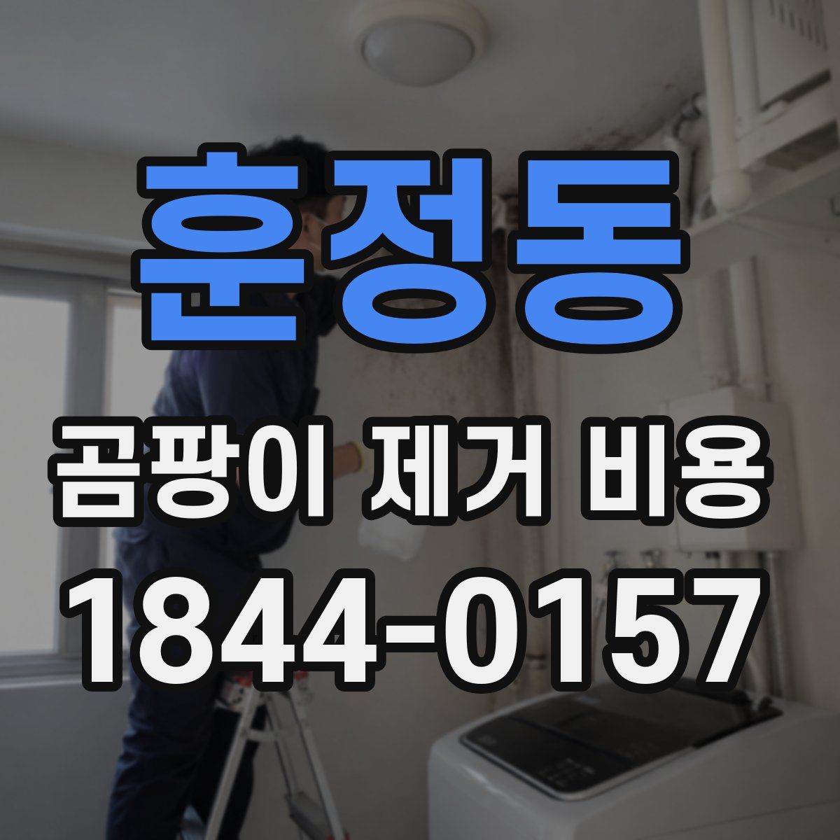 훈정동 곰팡이 제거 비용