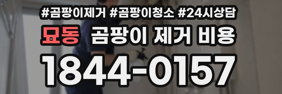 묘동 곰팡이 제거 비용