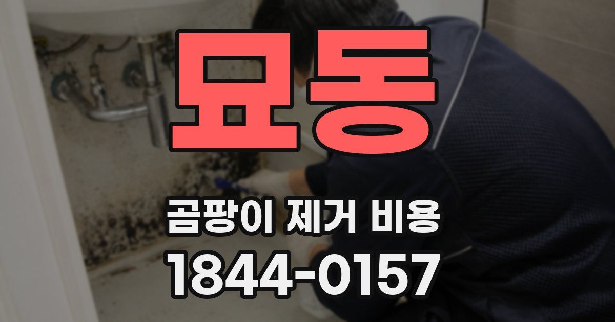 묘동 곰팡이 제거 비용