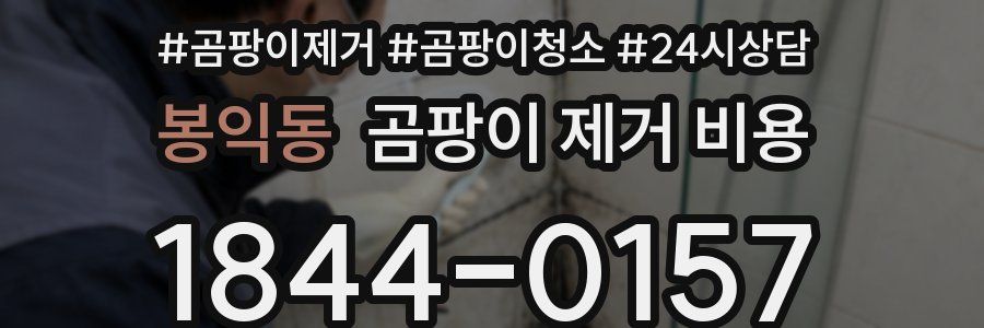 봉익동 곰팡이 제거 비용