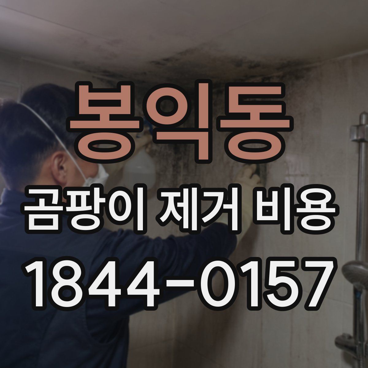 봉익동 곰팡이 제거 비용