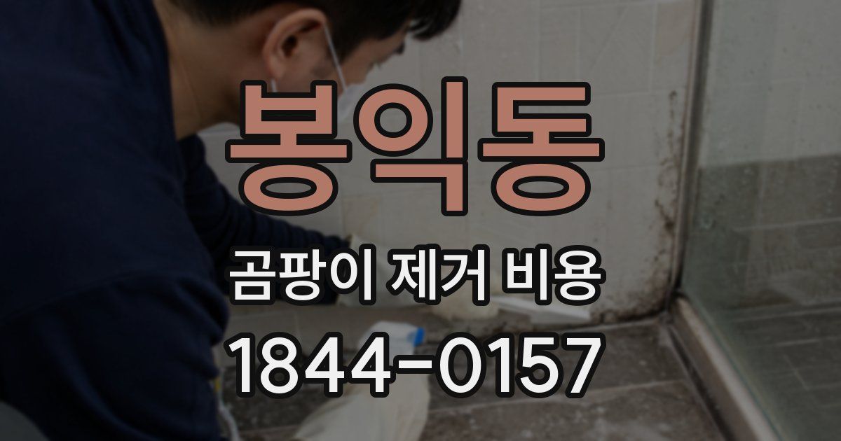 봉익동 곰팡이 제거 비용