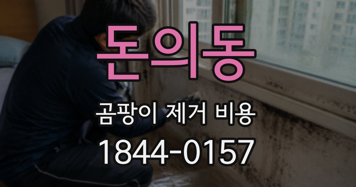 돈의동 곰팡이 제거 비용