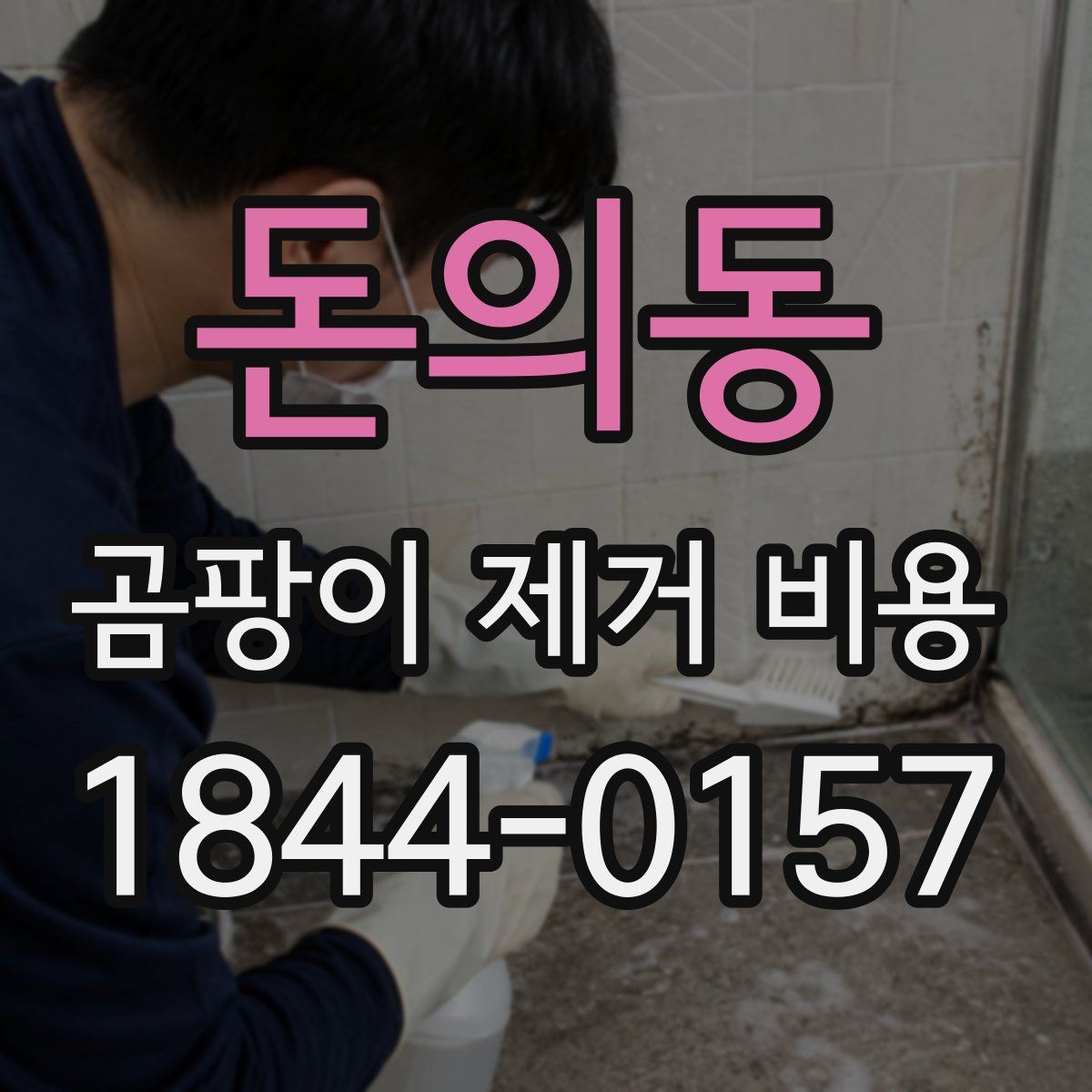 돈의동 곰팡이 제거 비용