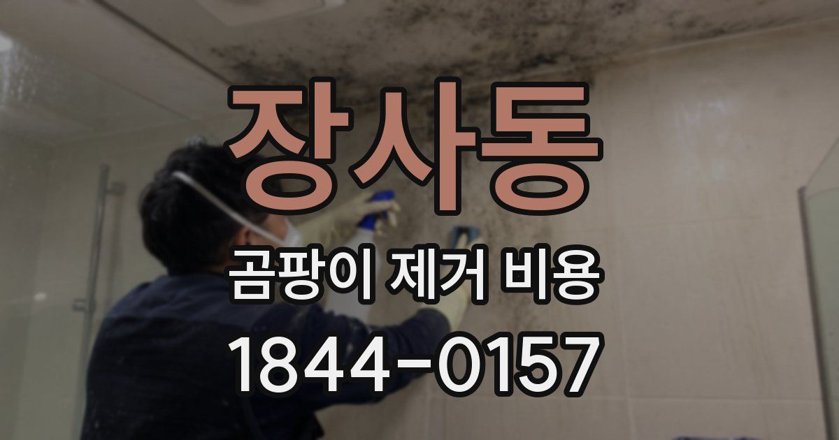 장사동 곰팡이 제거 비용