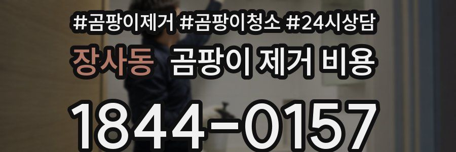 장사동 곰팡이 제거 비용