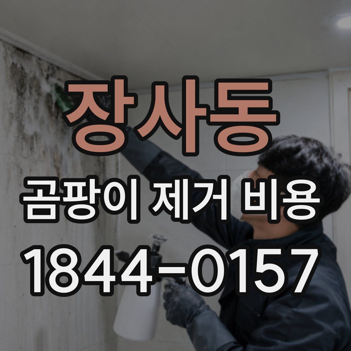 장사동 곰팡이 제거 비용