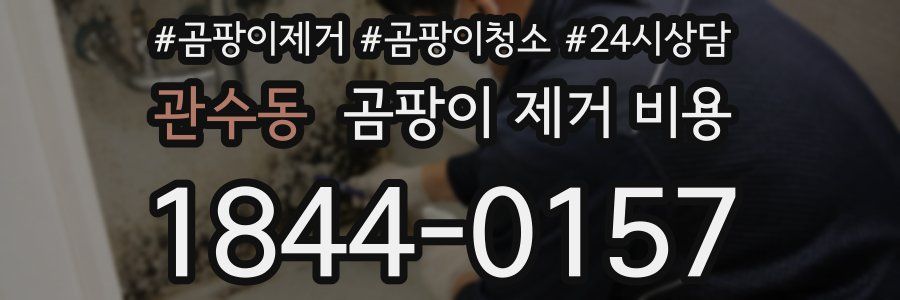 관수동 곰팡이 제거 비용
