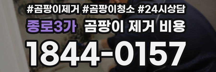 종로3가 곰팡이 제거 비용
