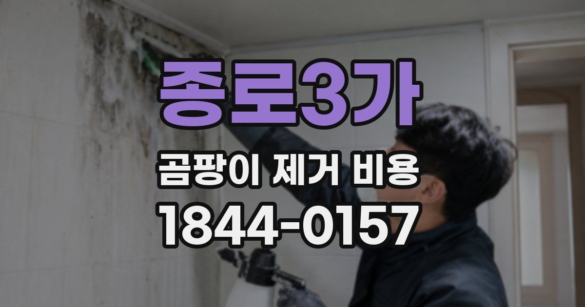 종로3가 곰팡이 제거 비용