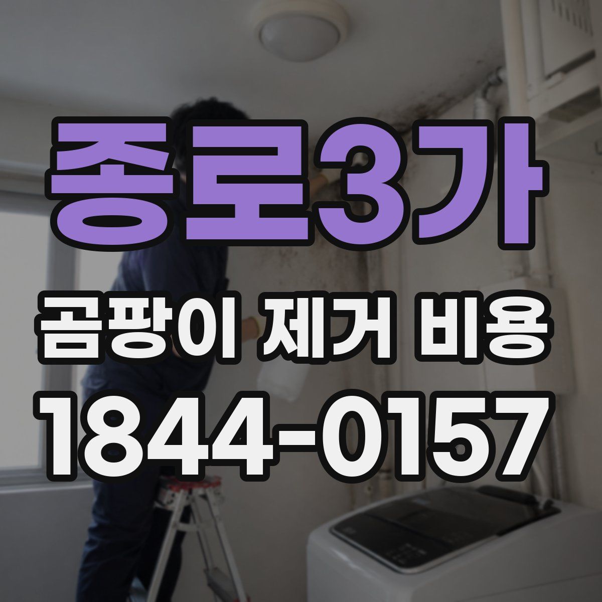 종로3가 곰팡이 제거 비용