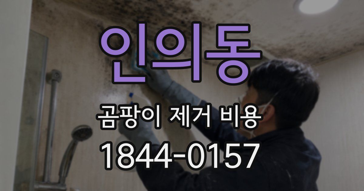 인의동 곰팡이 제거 비용