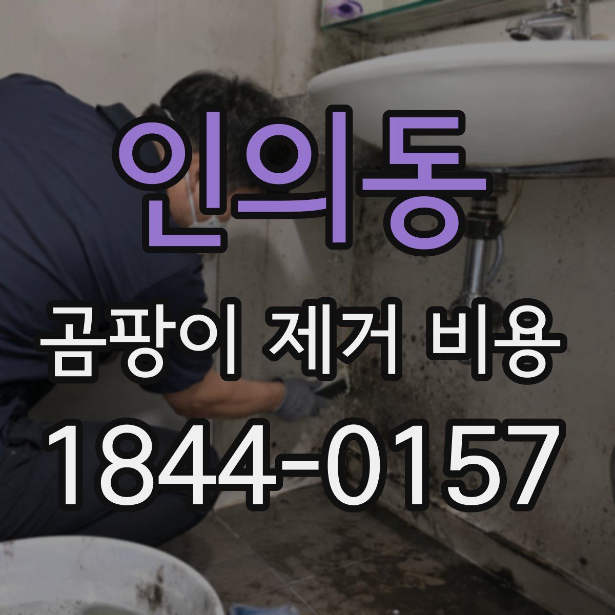 인의동 곰팡이 제거 비용