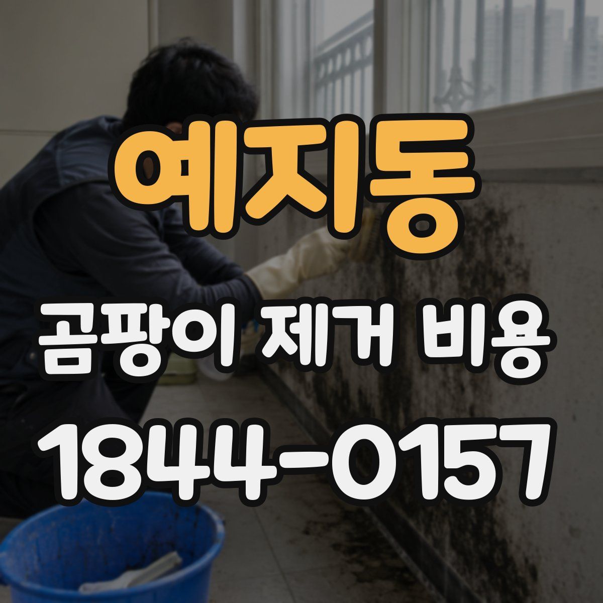 예지동 곰팡이 제거 비용
