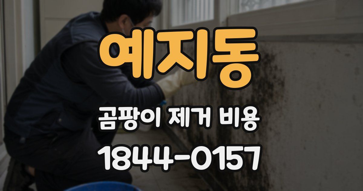 예지동 곰팡이 제거 비용