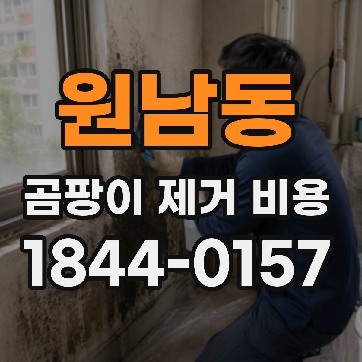 원남동 곰팡이 제거 비용