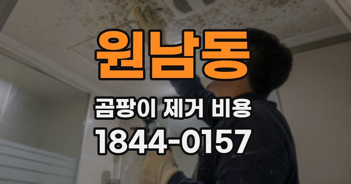 원남동 곰팡이 제거 비용