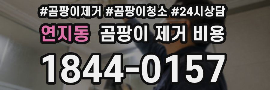 연지동 곰팡이 제거 비용