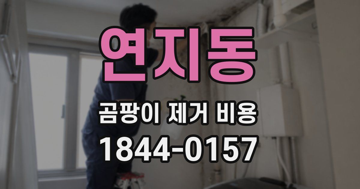 연지동 곰팡이 제거 비용