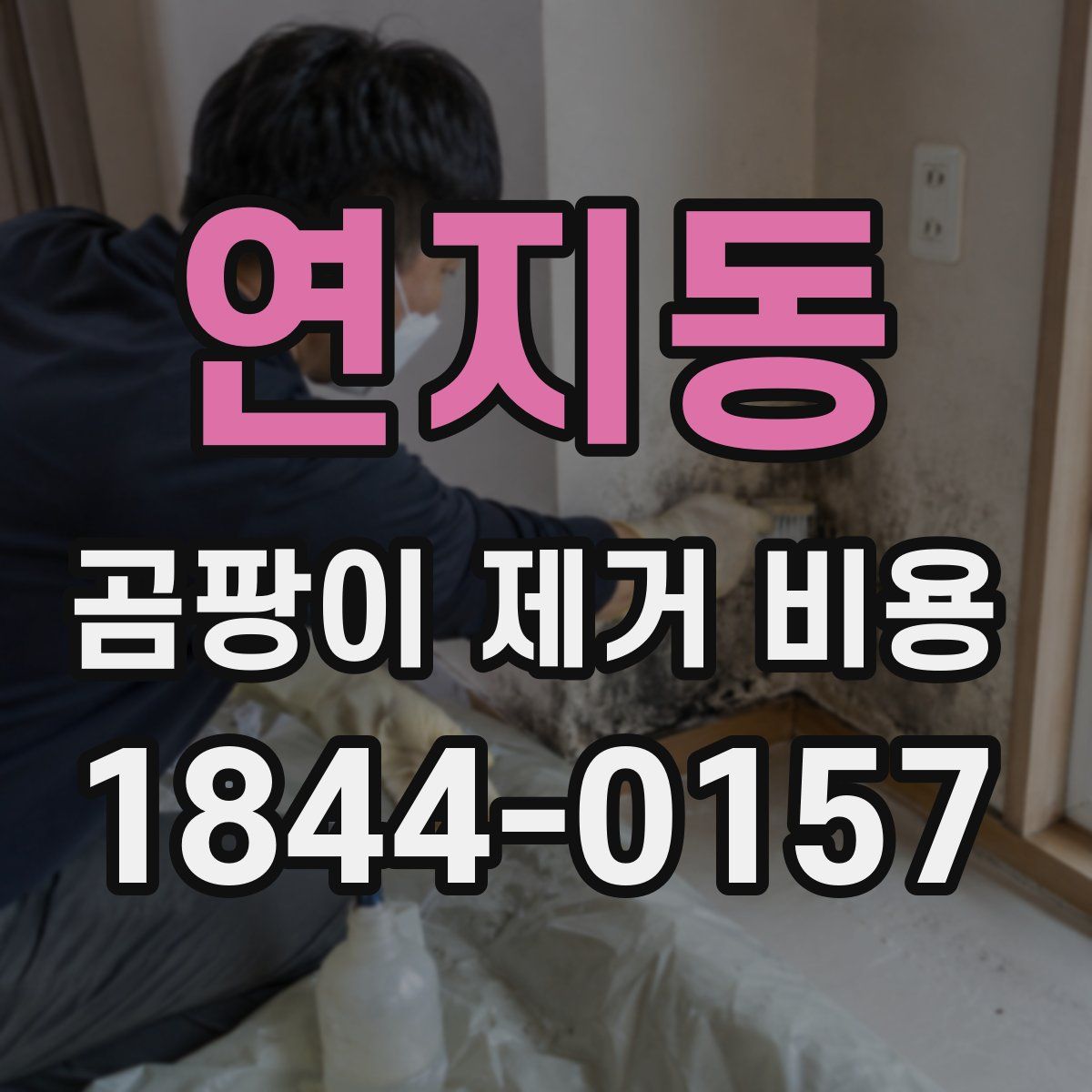 연지동 곰팡이 제거 비용