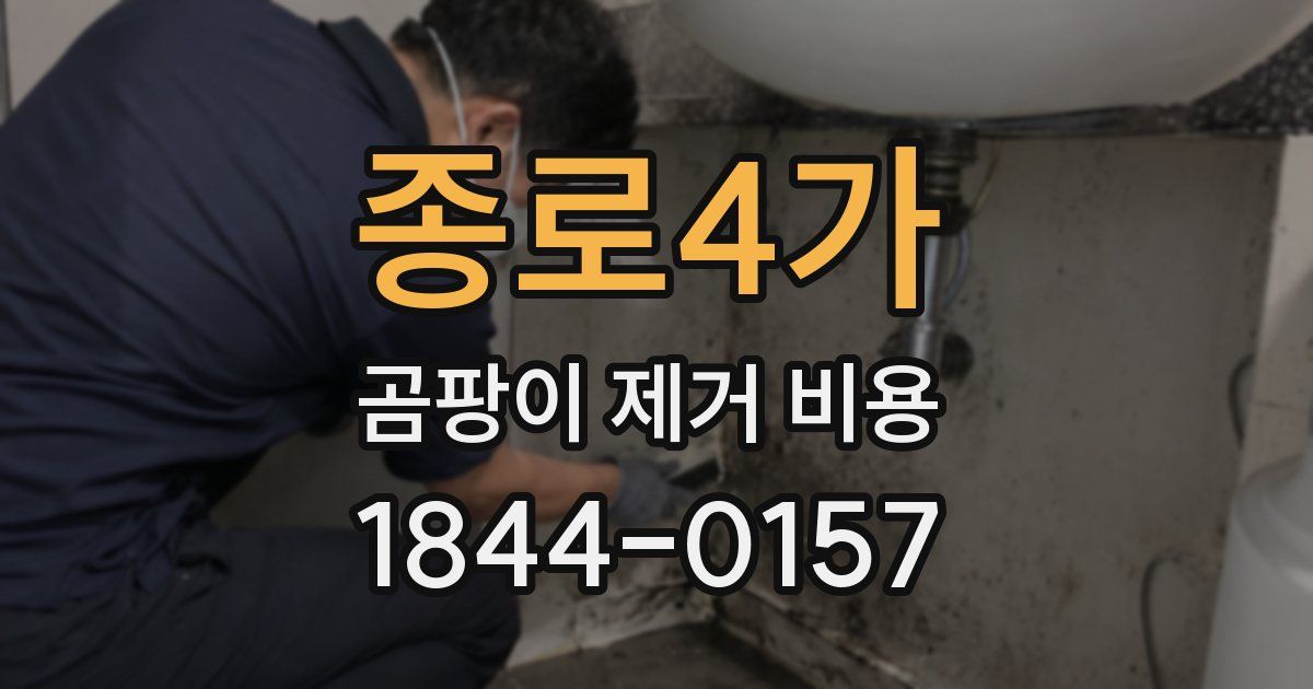 종로4가 곰팡이 제거 비용