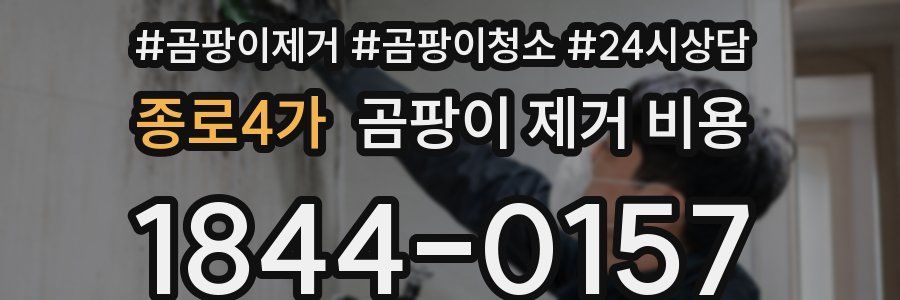 종로4가 곰팡이 제거 비용