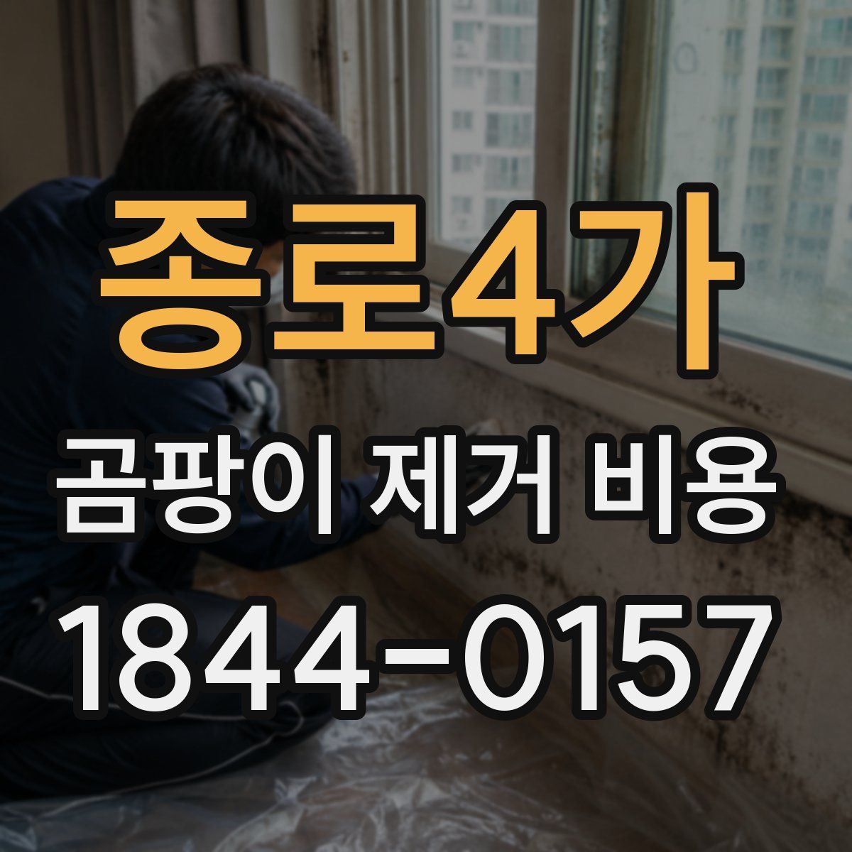종로4가 곰팡이 제거 비용
