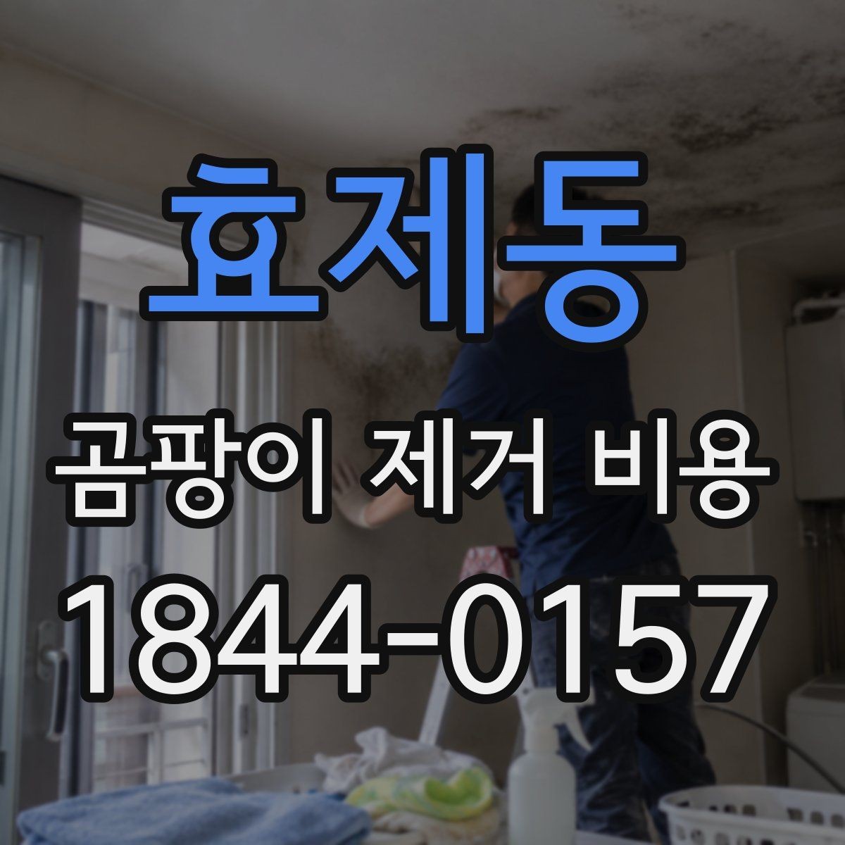 효제동 곰팡이 제거 비용 욕실 오염과 거실 오염의 처리 기준