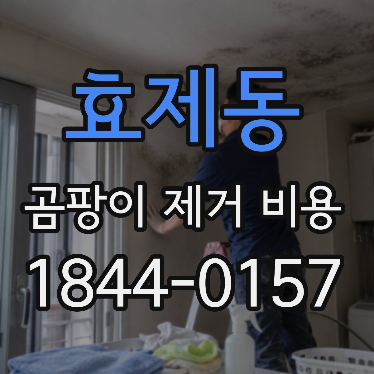 효제동 곰팡이 제거 비용