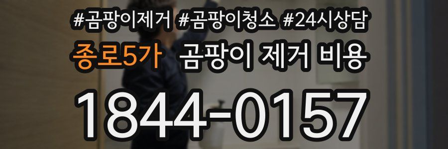 종로5가 곰팡이 제거 비용