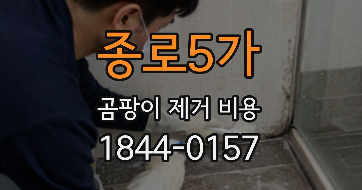 종로5가 곰팡이 제거 비용