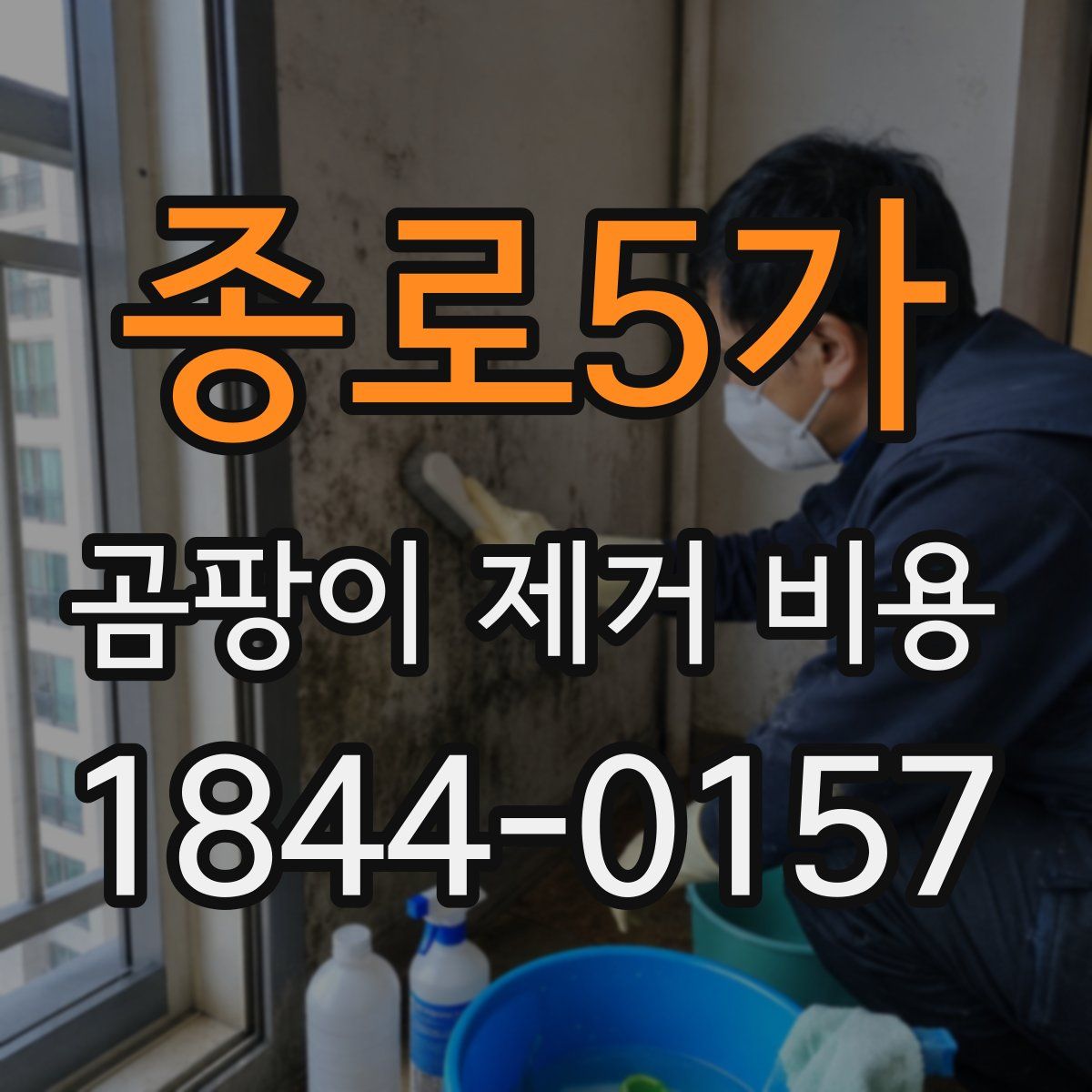 종로5가 곰팡이 제거 비용