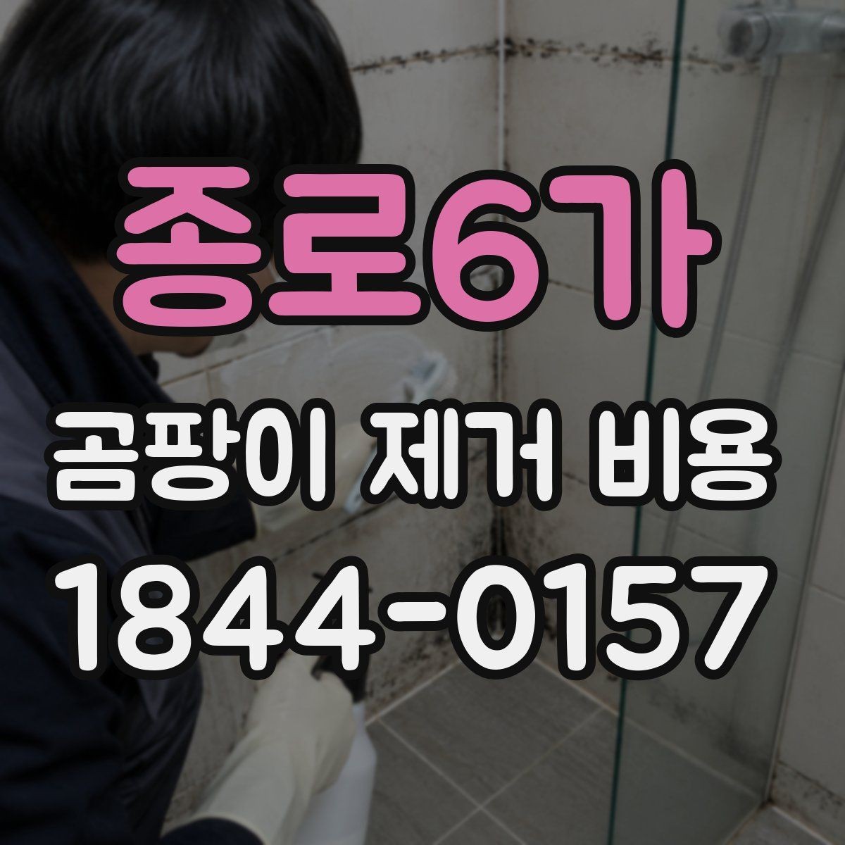 종로6가 곰팡이 제거 비용 복구 범위가 넓어질수록 달라지는 항목