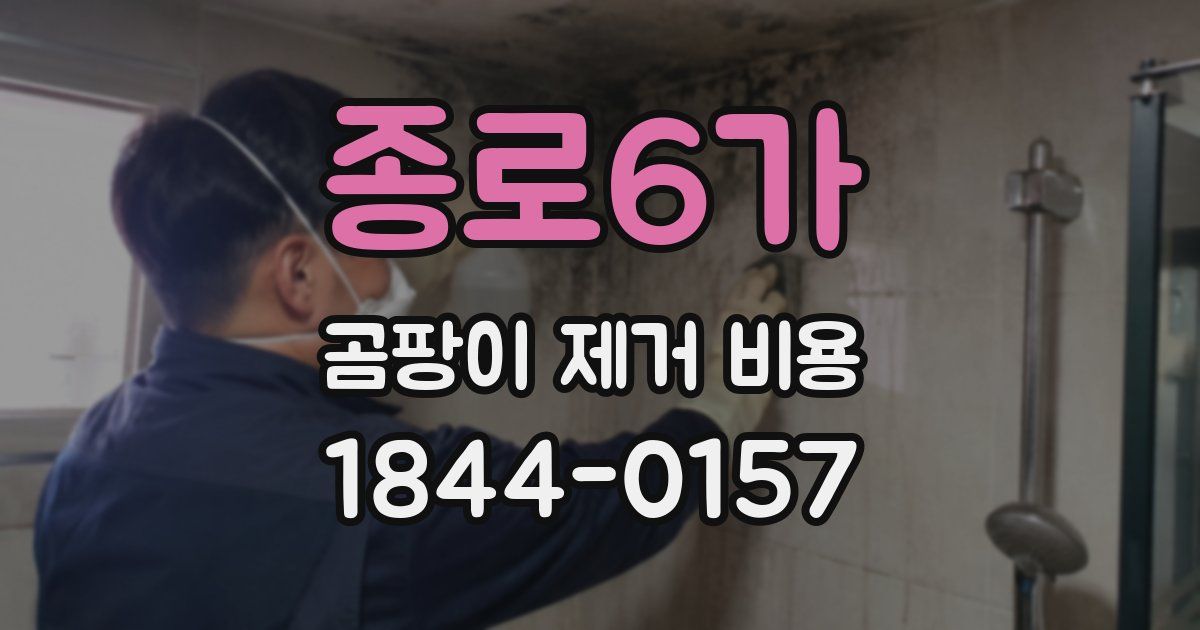 종로6가 곰팡이 제거 비용