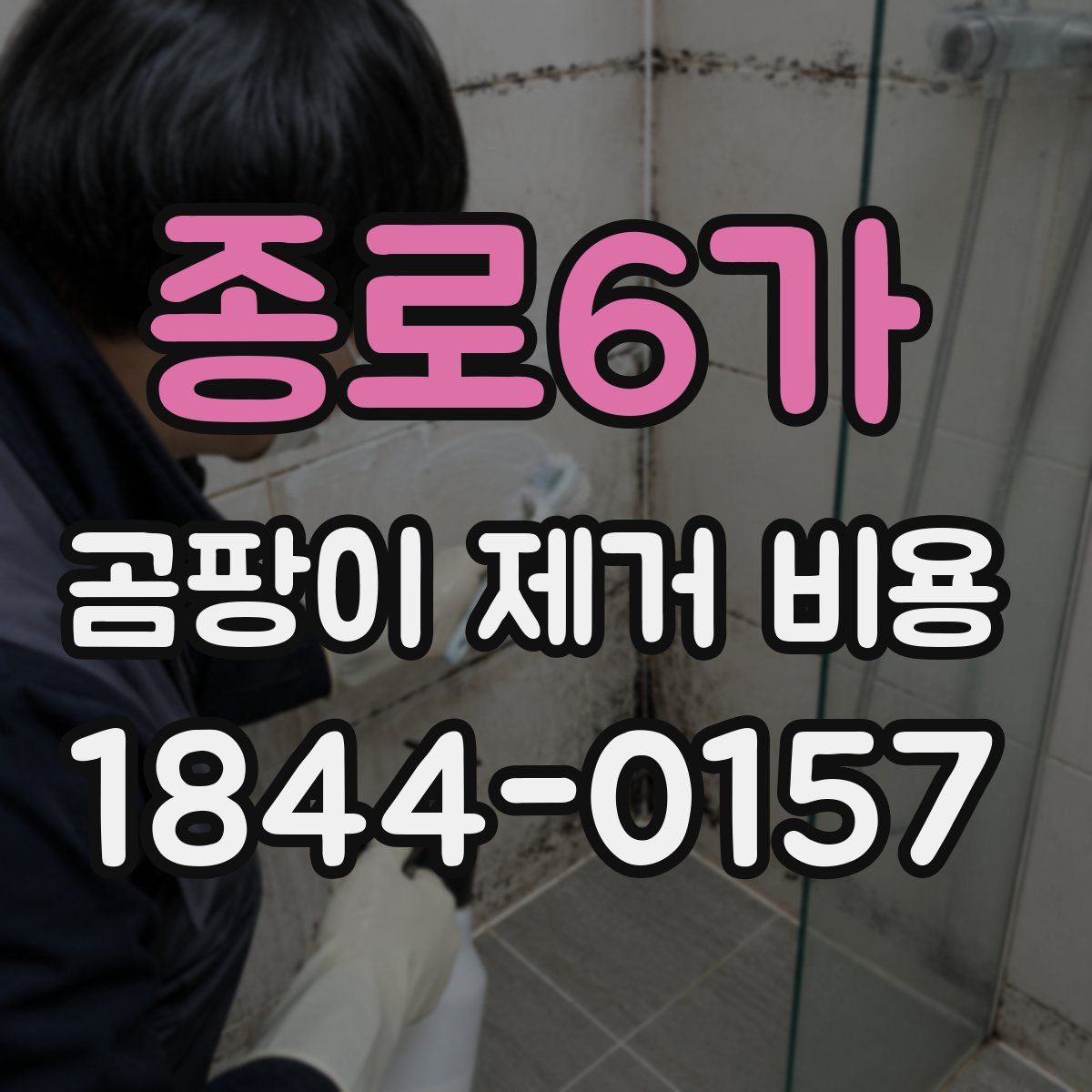 종로6가 곰팡이 제거 비용