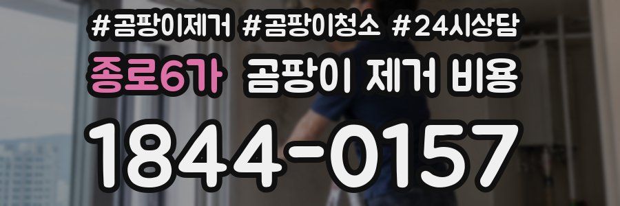 종로6가 곰팡이 제거 비용