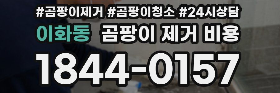 이화동 곰팡이 제거 비용