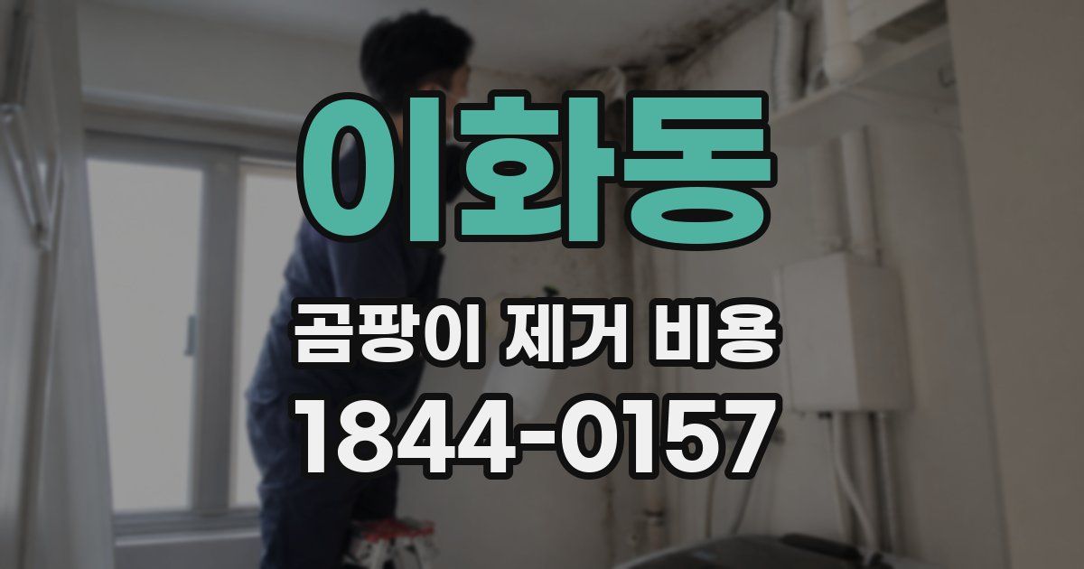 이화동 곰팡이 제거 비용
