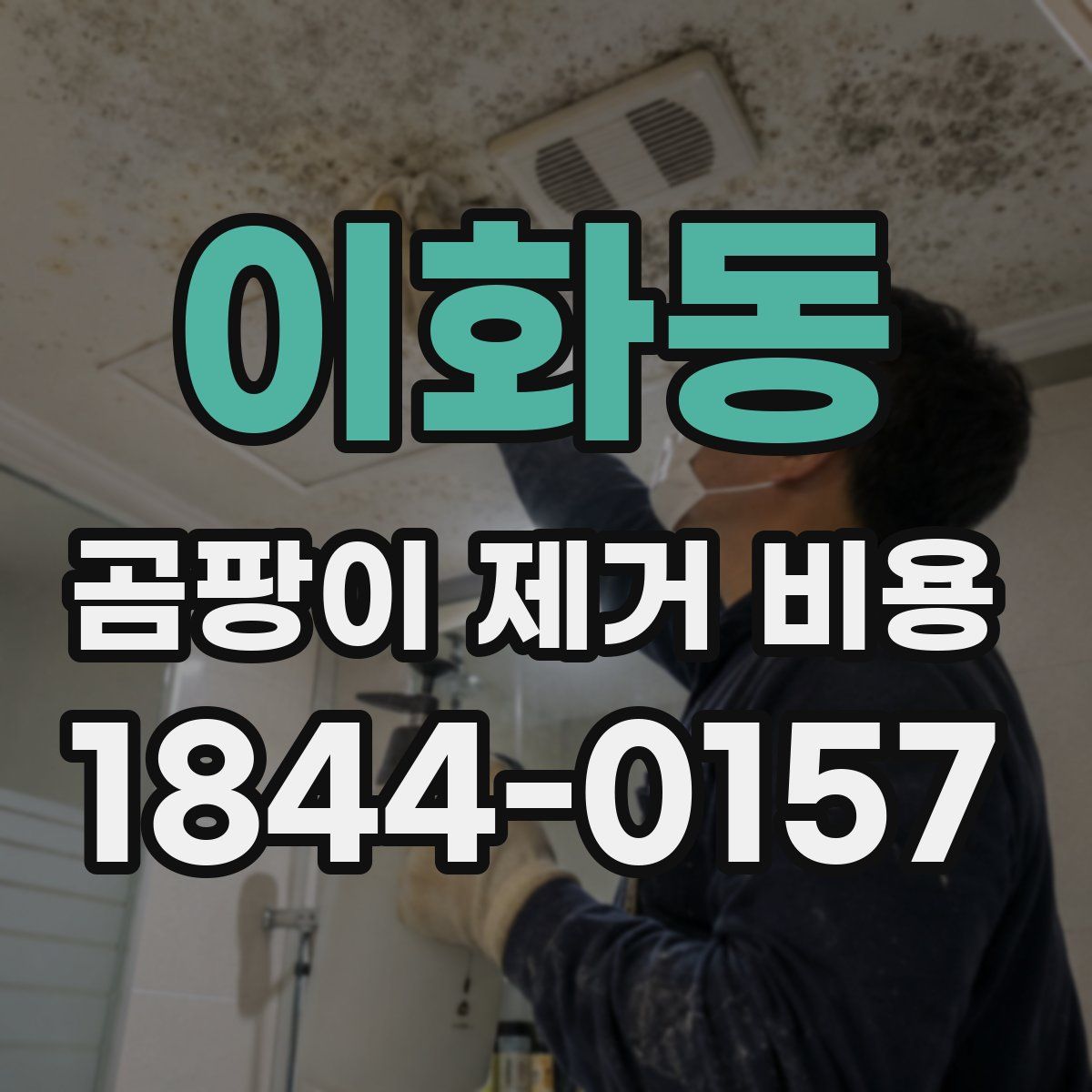 이화동 곰팡이 제거 비용