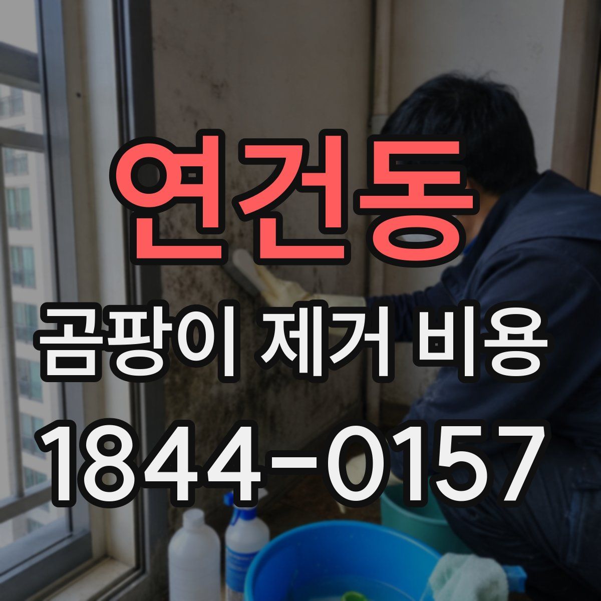 연건동 곰팡이 제거 비용