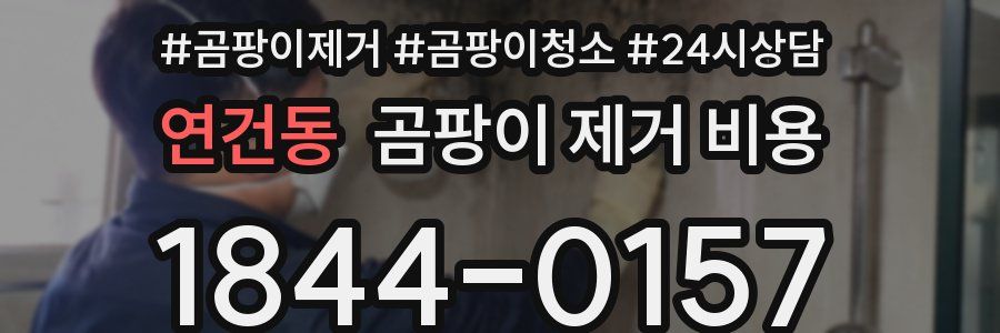 연건동 곰팡이 제거 비용