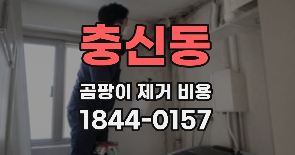 충신동 곰팡이 제거 비용