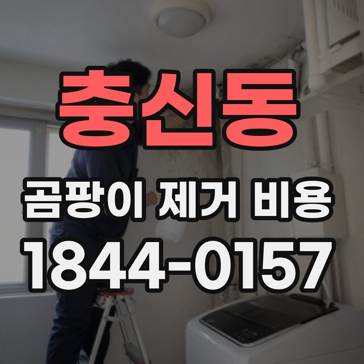 충신동 곰팡이 제거 비용